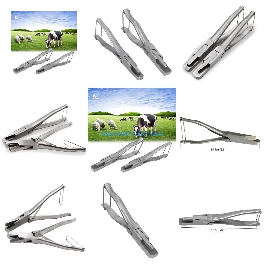 

Y6GD Ear Tag Applicator for Record Pigs' Production Performance Wear-resistant