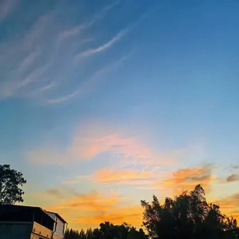 

HGLRC SPECTER 90A ESC с двойной поддержкой MOS BL32 ESC телеметрии 2-8S для киноуровщика X8, X4, и XCLASS RC FPV Drone