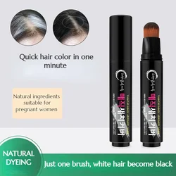 20ml Quick Dyeing Pen Brush Gray Hair Covering Disposable Re-dyeing Stick Hair Dye Pen White Hair Dye To Black