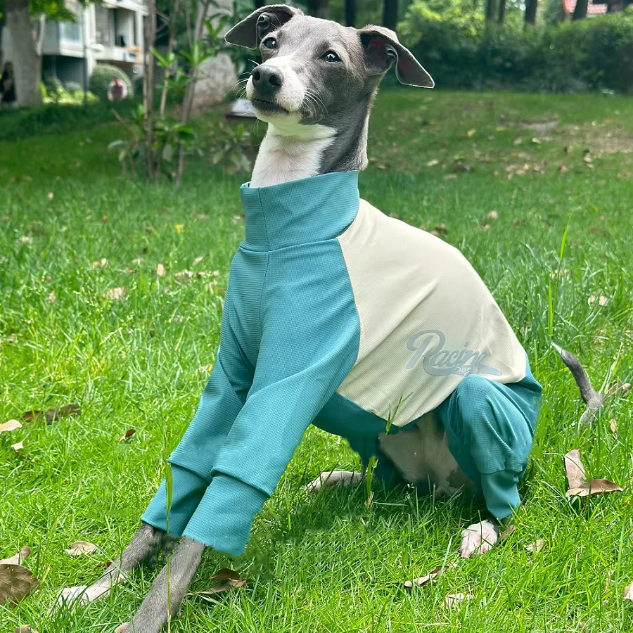

Soft Cotton Dog Jumpsuit High-Neck Pajamas Warm Winter Undershirt with Long Sleeves for Bedlington Greyhound Poodle & Saluki