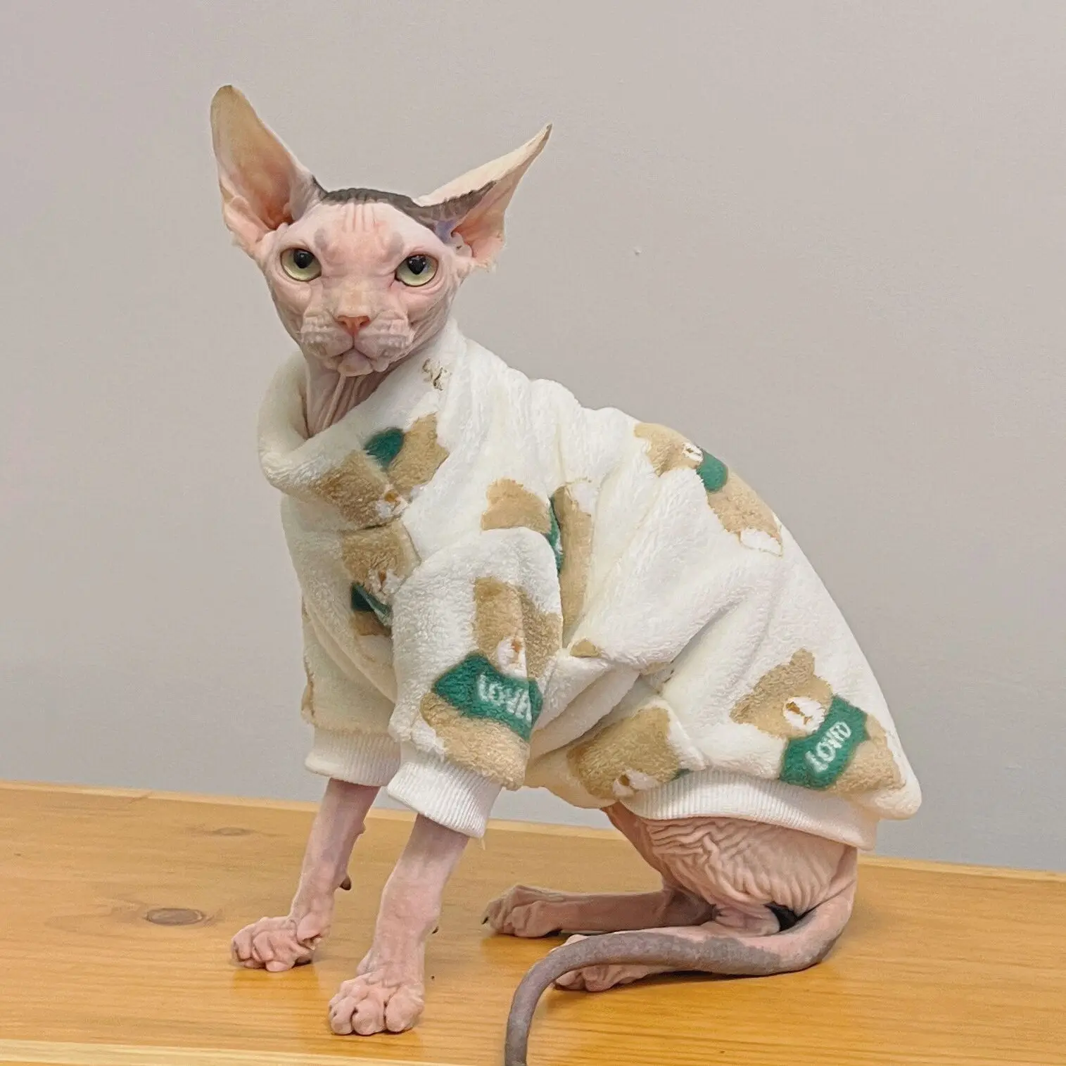 Sphnyx Clothes for Cat Thick Fleece Coat Long sleeves Turtleneck Sweater for Kittens Loungewear for Devon Rex in Winter