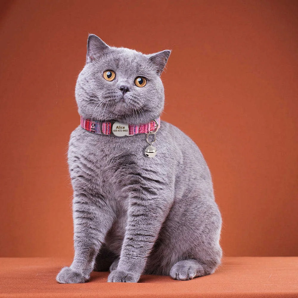 Personalisiertes Katzenhalsband, verstellbare Halsbänder für kleine Hunde und Kätzchen, kostenlose individuelle ID-Namenshalsbänder für Haustiere, Anti-Verlust-Halsbänder für Katzen – Detail 15