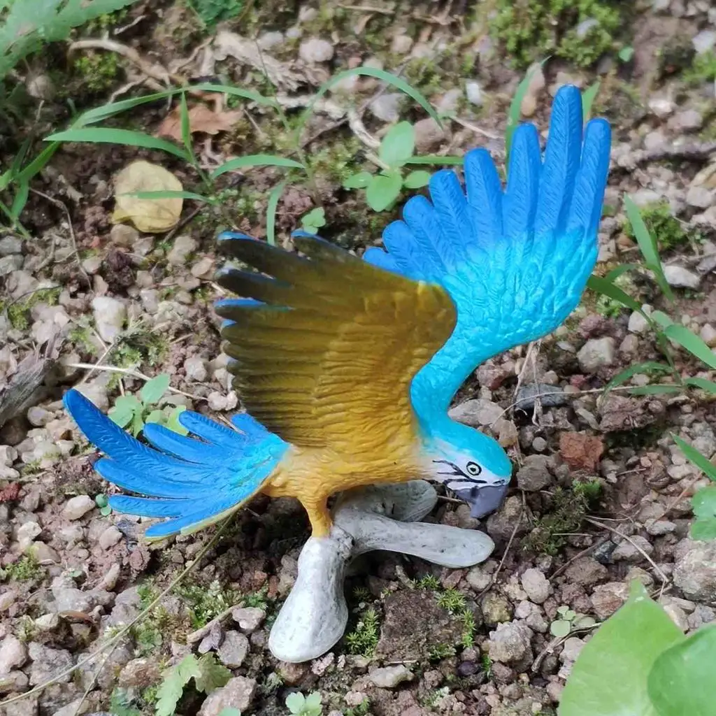 Micro Landscape Decoration PVC Animal Models Miniature Parrot Figurine for Kids Recognition and Collectors Display
