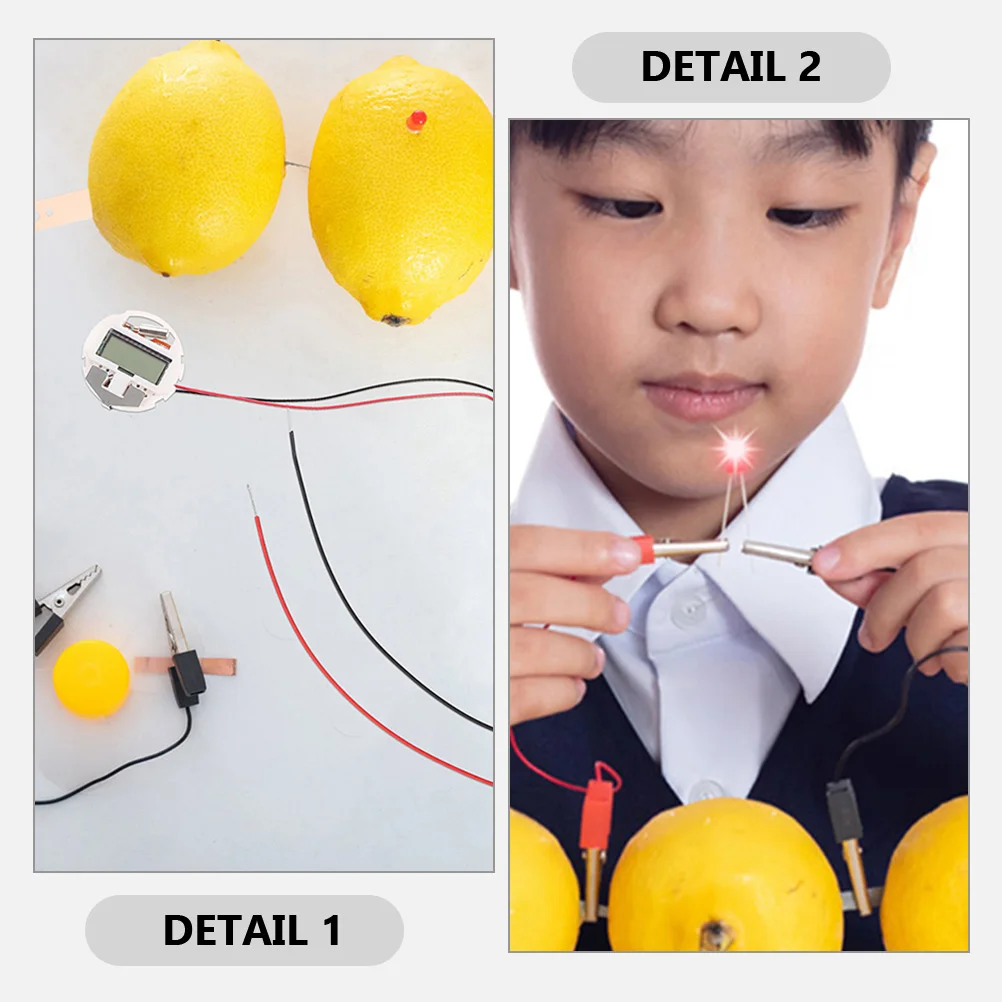 2 Sets Electricity Fruit Experiment Batterys Prop Potato Kit Metal Supply Student