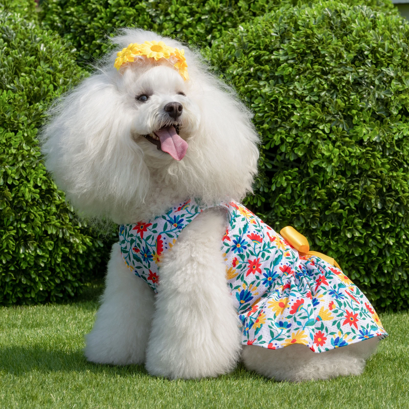 CuteBone Dog Dress Summer Dog Clothes Girl Puppy Skirt Outfit Pet Clothes for Small Dogs