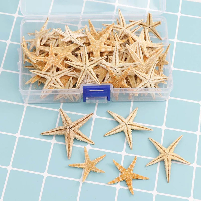 1Box 20/50/100pcs Natural Starfish Seashell Beach Craft Natural Sea Stars DIY Beach Wedding Decoration Crafts Home Decor