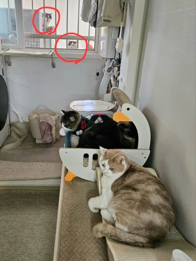 구매후기