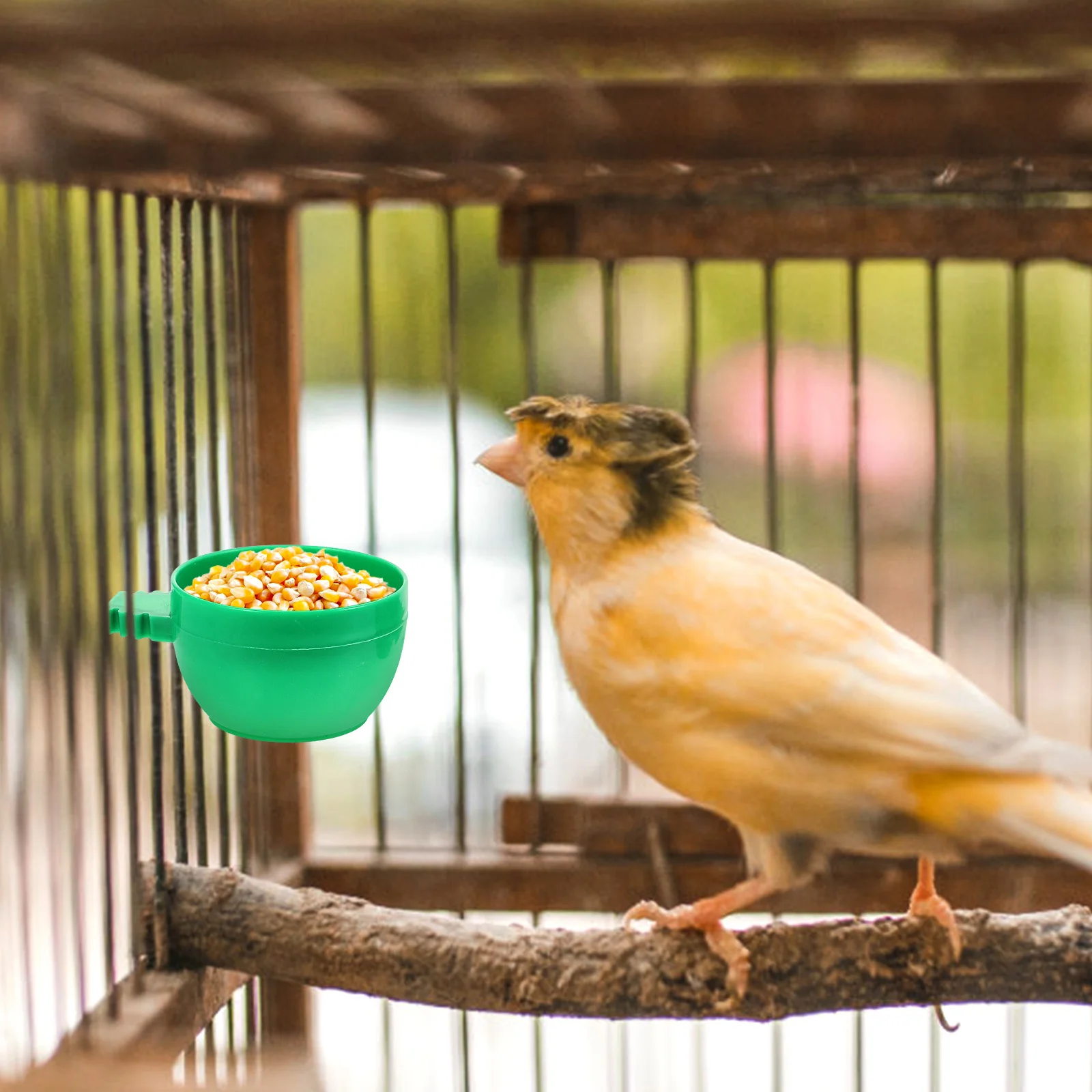 

36Pcs Bird Feeder Plastic Parrot Food Holder Cage Feeding Bowl Water Dispenser Pet Supplies Bird Cage Accessories