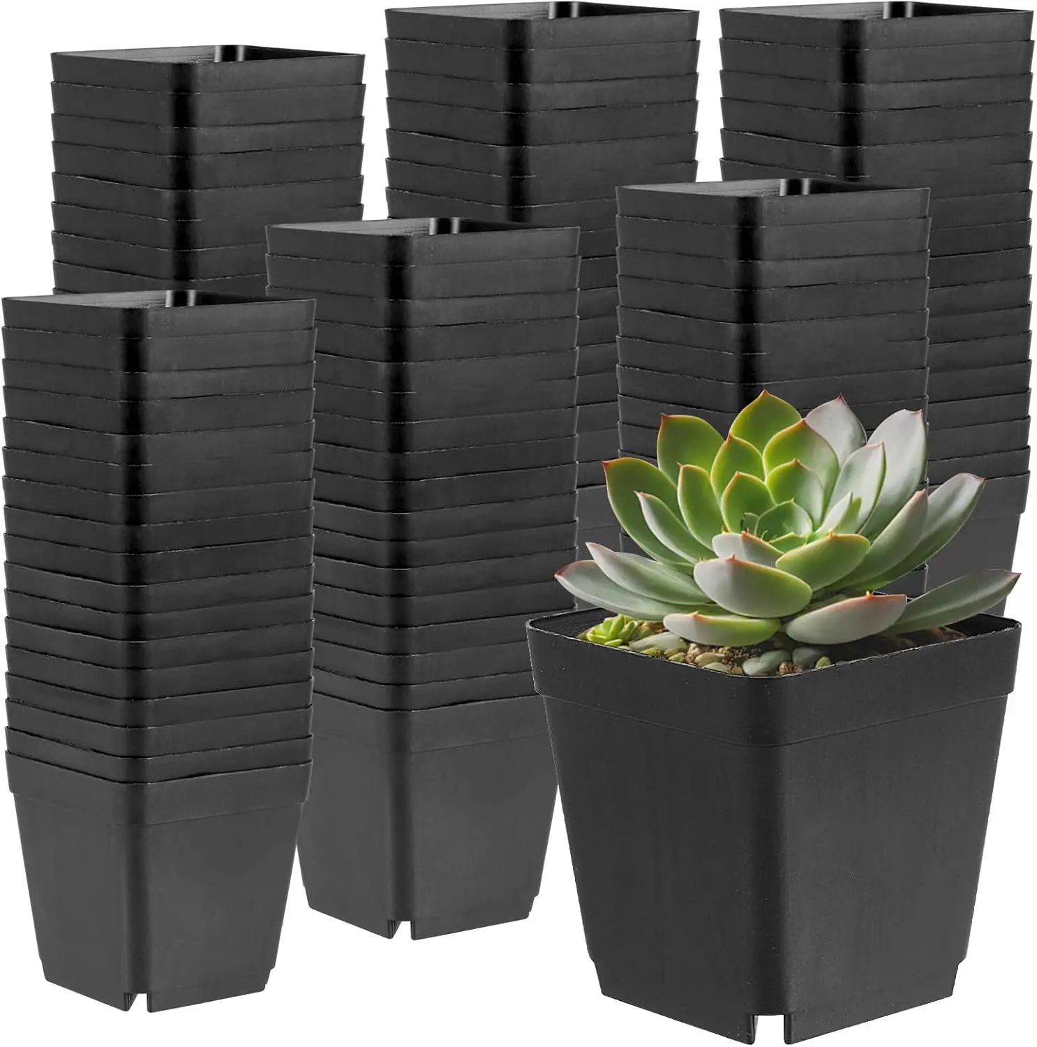 

150PCS 4 Inch Square Nursery Plant Pots, Plastic Plant Seedling Pots with Drainage Holes, Black Plant Seedling Pots for