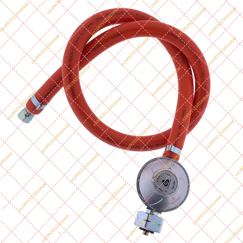 tubo-del-gas-e-regolatore-tipo-694-30mbar-per-weber-q-spirit-genesis-summit