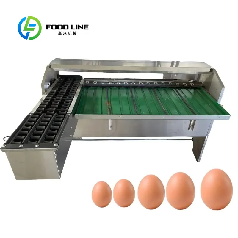 Customize Easy to Operate Egg Cleaner Dryer Grader Chicken Egg Size Weight Sorter Classify Machine