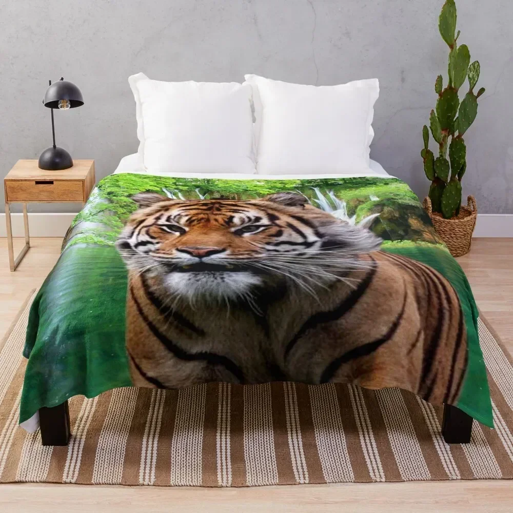 

Tiger and Waterfall Throw Blanket Soft Solid Color Blanket for Couch Bed