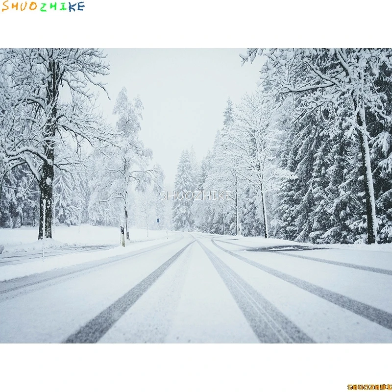 قطرات خلفية للتصوير الفوتوغرافي للغابات الشتوية ، طريق مغطى بالثلوج ، ندف الثلج ، أشجار التنوب ، خلفية الصورة ،