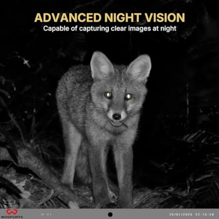 Mini trail camera multiple unit pack