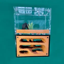 Ecological Ant Farm Unlimited Expansion Ant Nest Yellow Mud Moisturize Anthill Farm Ants House Acrylic Box Ant kennel Workshop