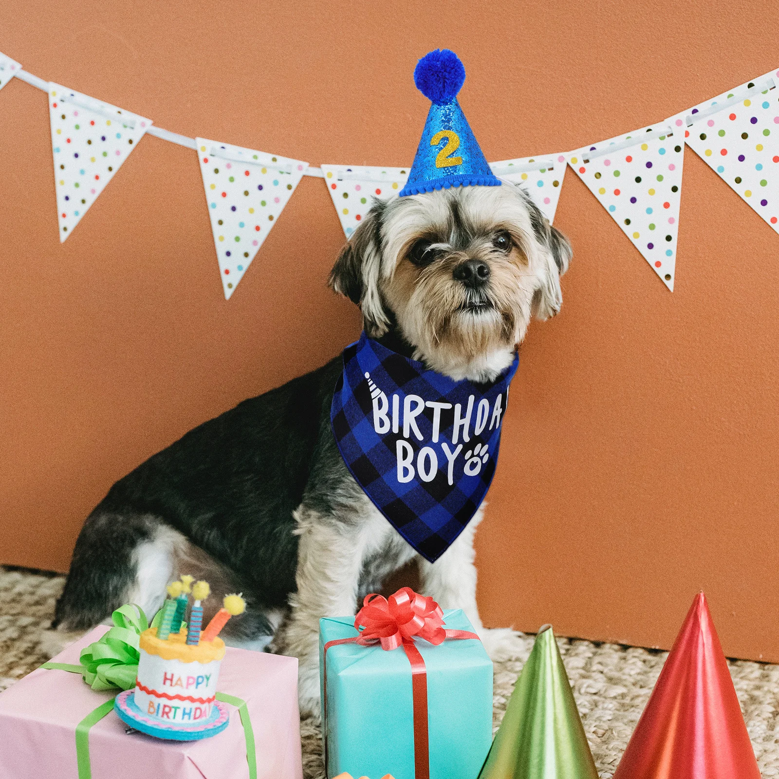 

1Set Dog Birthday Costume Accessories Pompom Hat Bandana Puppy Party Decors Pet Dog Bandana Puppy Birthday Decorations
