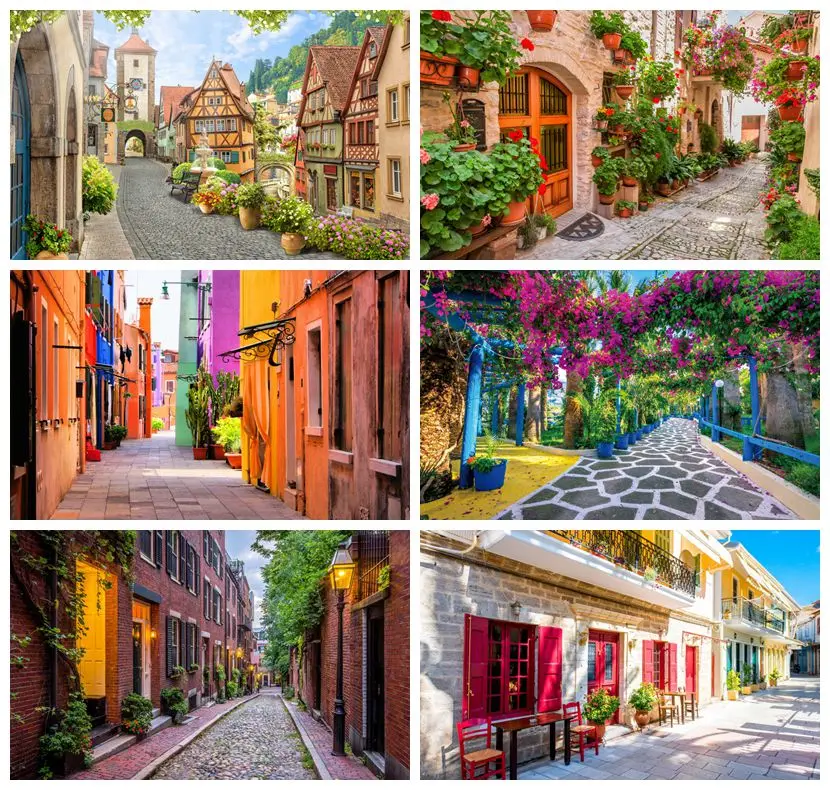 

Rural Village Town Street Buildings Flowers Shop Grass Baby Portrait Photo Backdrop Photography Background Photo Studio