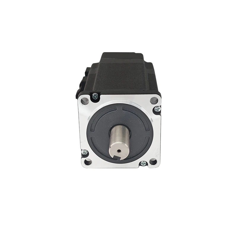300W 60 Flange Brushless Dc Motor Length 120 Custom Made 24V 48V310V  3000rpm Ce BLDC Customizable IE 1 High Torque Low Noise