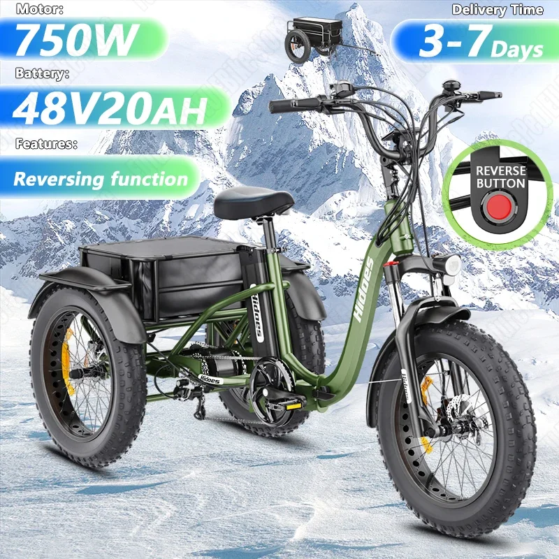 E-Trike 750W Motor 48V20AH Removable Battery Electric Tricycle Support Reversing Function 20*4-Inch Fat Tire Snow Electric Trike