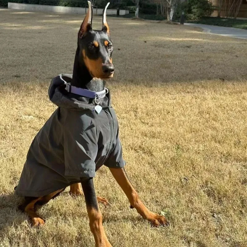 

Autumn and Winter Collection of Large Dog Clothes, Hooded Jackets, Dobin, Samoyed, Border Collie, Medium and Large Dogs