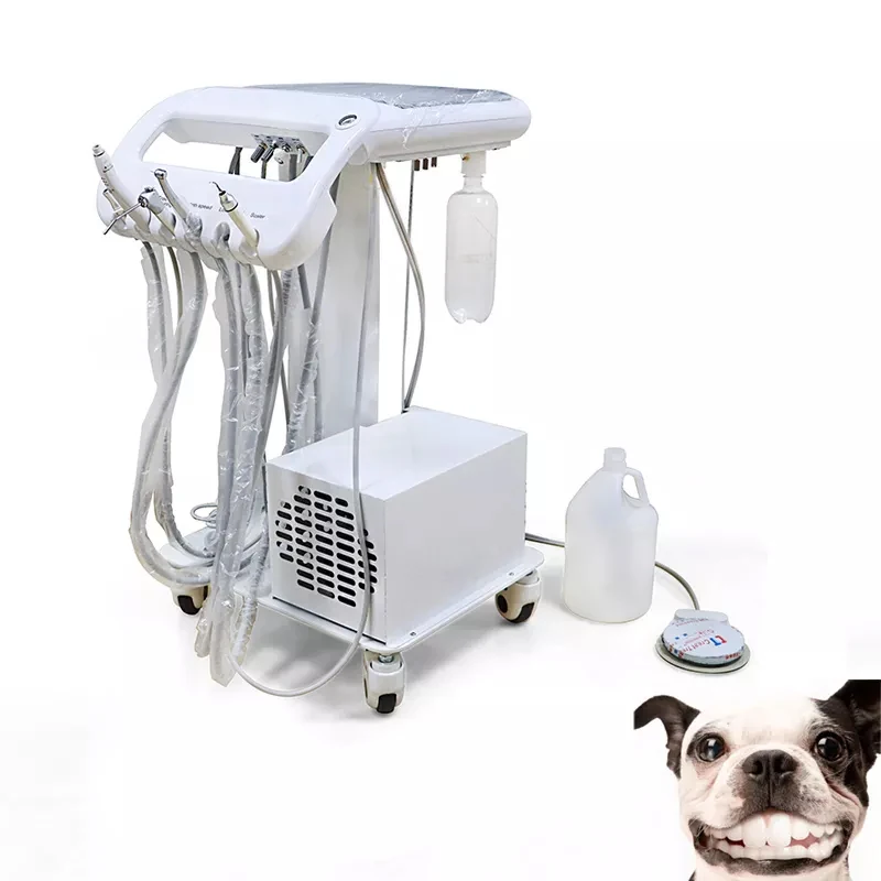 Animal Tooth Treatment Machine Veterinary Mobile Dental Unit With Compressor Motor Veterinary Dental Unit