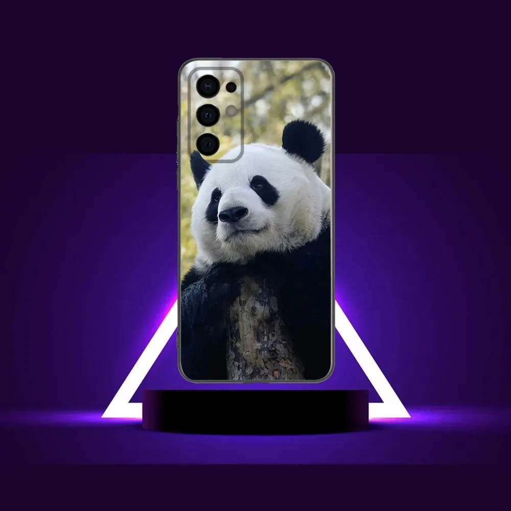 fubao panda   Phone Case For Samsung Galaxy A13,A21s,A22,A31,A32,A52,A53,A71,A80,A91 Soft Black Shell