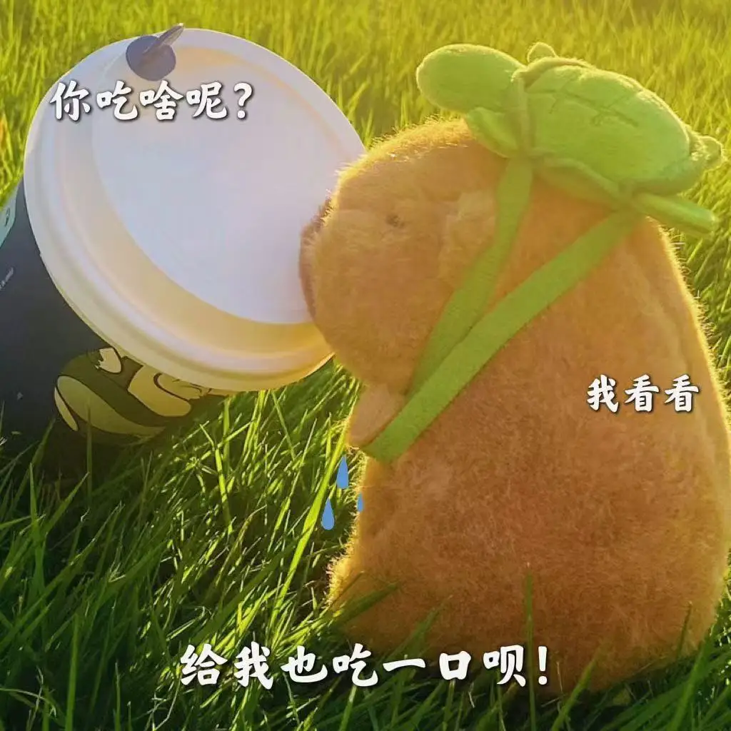 Capybara Plush Simulation Capibara Anime Fluffty Toy Kawaii Plushie Cute Doll Stuffed Animals Soft Doll Plush Gift Kid Toys image 6