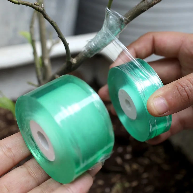 100/300M Stretchable Green Grafting Tape for Plant Support Nursery Use Household Garden Grafting Transparent Tape for Fruit Tree