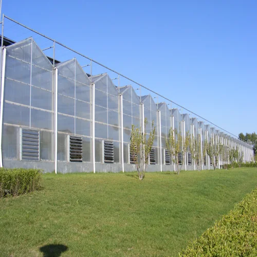 

Customized greenhouseMulti-Span Agricultural 8mm 10mm Polycarbonate Greenhouse With Tomato Cucumber Pepper Hydroponic System