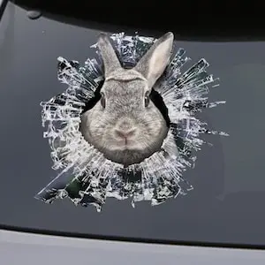 STICKER, Rabbit window sticker, car sticker, Rabbit car decal