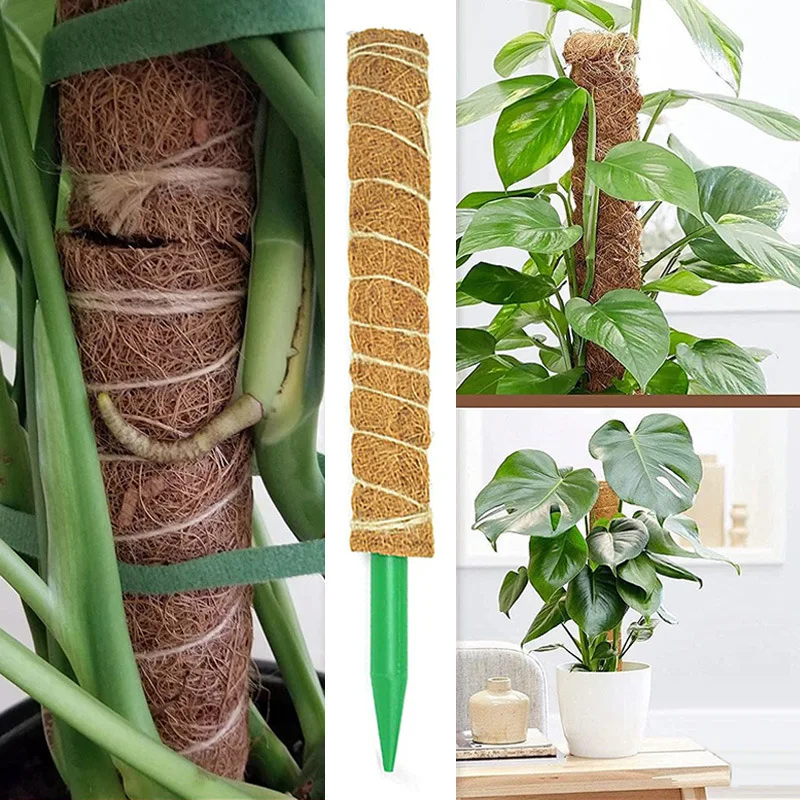 Plant Moss Coconut Shell Pole Removable Plant Climbing Support Extension Palm Rattan Stick Indoor Balcony Garden Courtyard