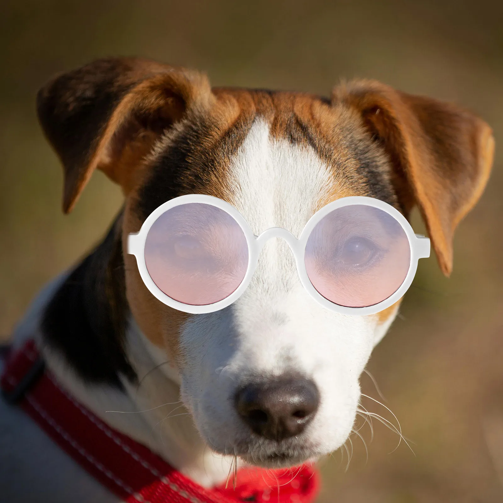 

2pcs Cool Pet Glasses for Daily Wear Photo Props Black Gradient Dog Cat Costume Decorative Supplies Fashion Accessories