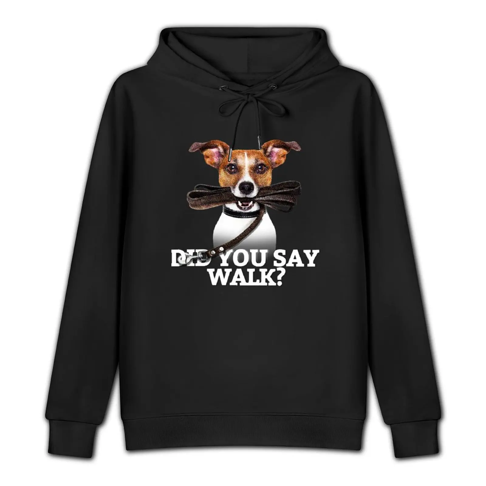 Walk your dog Pullover Hoodie men's clothes men's autumn clothes pullover