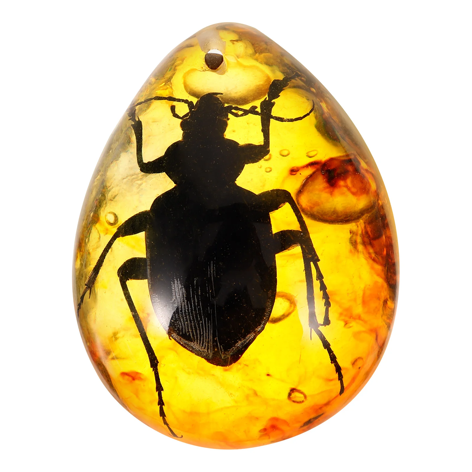

Pendant Real Beetle Specimen Decorative Crafts Diy Resin Beetle Amber Pendant Resin Amber Decoration For Jewelry Making