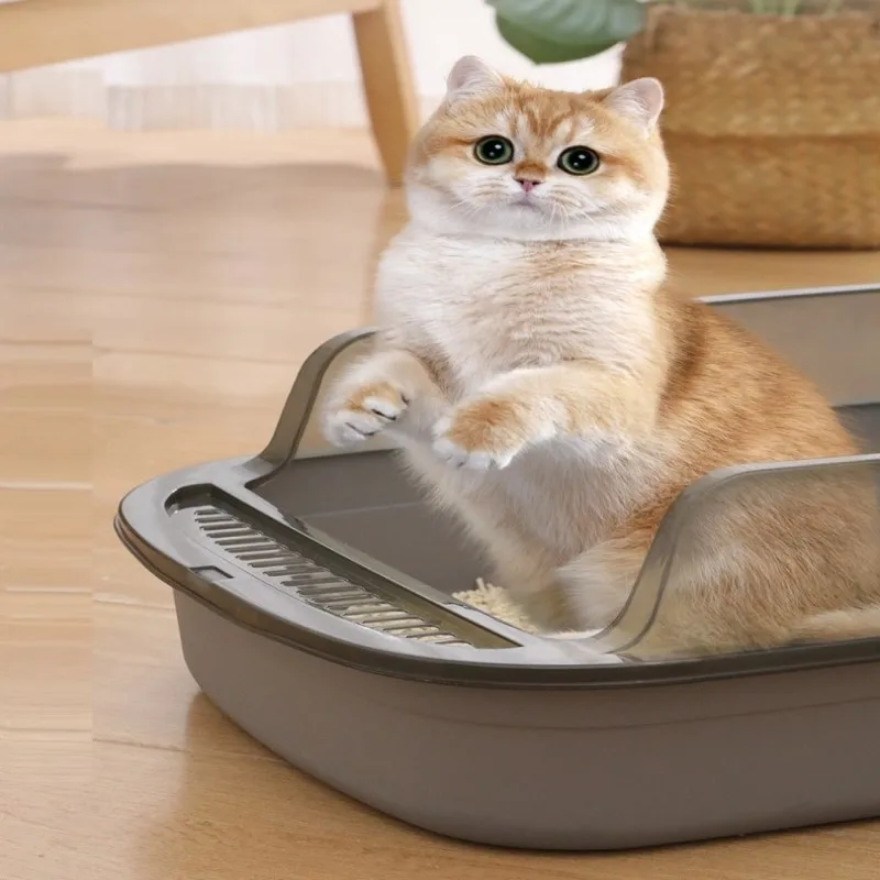 Thumbnail 2 - #34 Latest Cat Bed Pans Updates