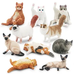 1Pcs Cute Pet Cat  Figures Mini Ragdoll Sleeping Kitten Siamese PVC Figurine Miniature Kids Toy