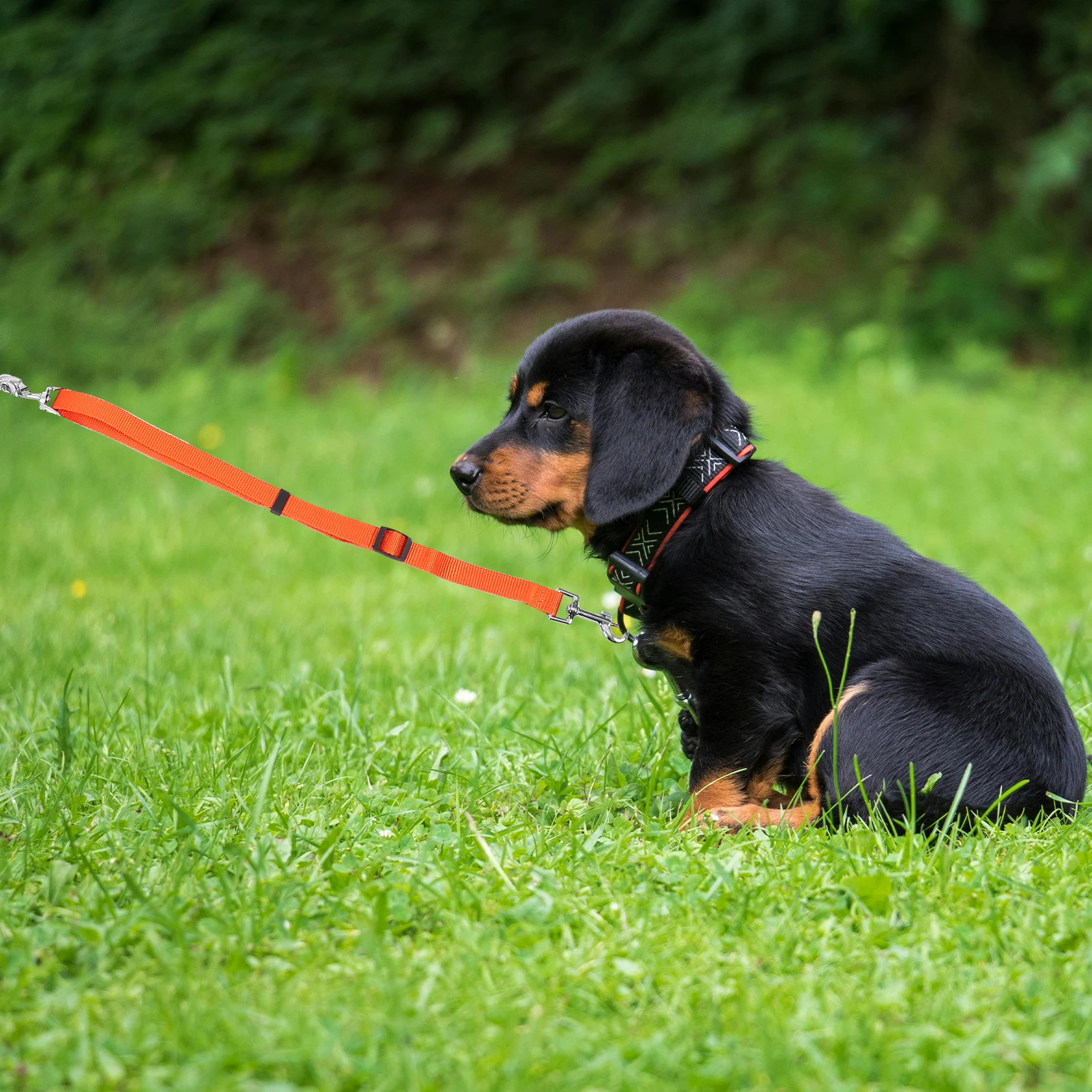 

Reflective One To Three Pet Leash High Strength Dog Rope Versatile Leash For Small Large Dogs