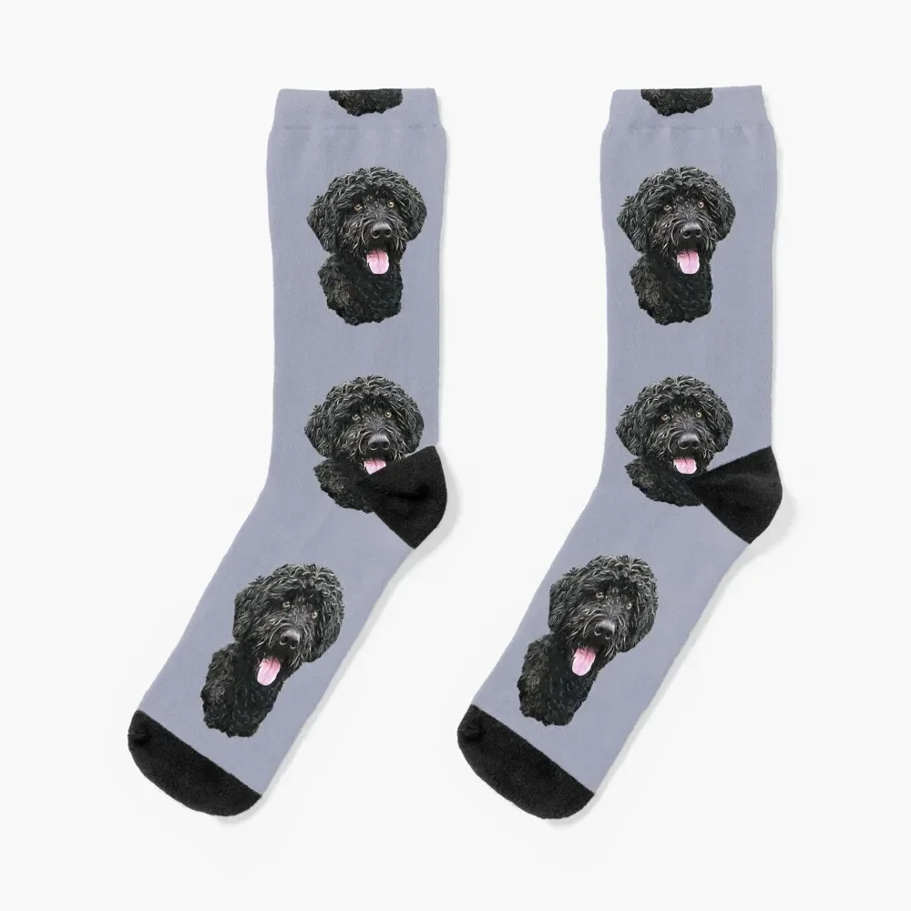 Portuguese Water Dog Socks Stockings man snow shoes Girl'S Socks Men's