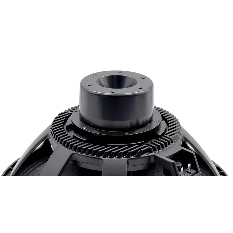 

Professional 18'' Neodymium Subwoofer Outdoor Speaker 1500W 8Ohm Sub Bass Unit OEM Home Theatre Computer
