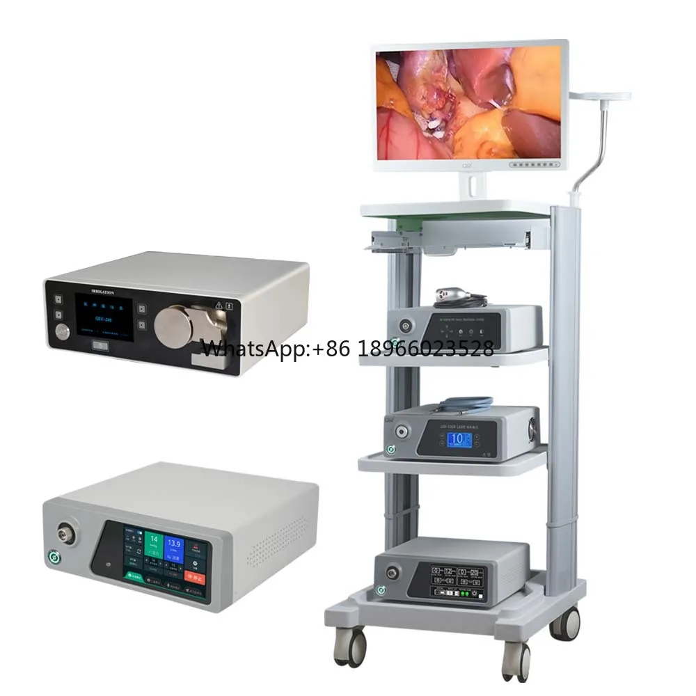 

Factory Price All in One 1080 HD Medical Endoscopy Camera System Equipment for ENT Endoscope