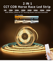 DC24V COB Horse Race LED Strip Set 5M 10M 15M 20M  CCT Running Water Flowing Ribbon Tape Kit with Power Supply and RF Control
