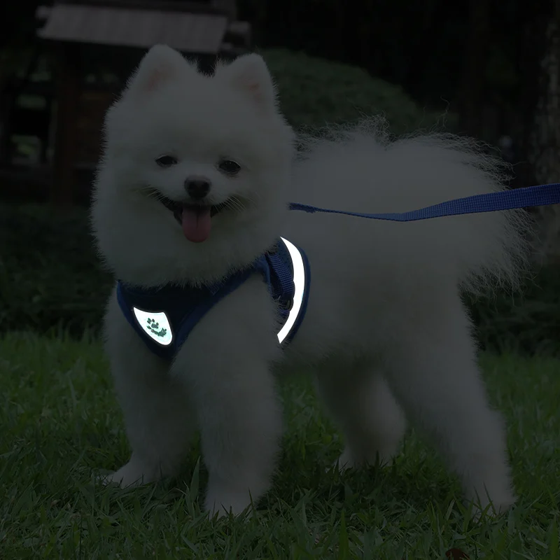 Summer Pet Dog Vest Harness and Leash Sets Reflective Mesh Harnesses for Small Dogs Pomeranian Corgi Yorkshire Puppy arnes perro