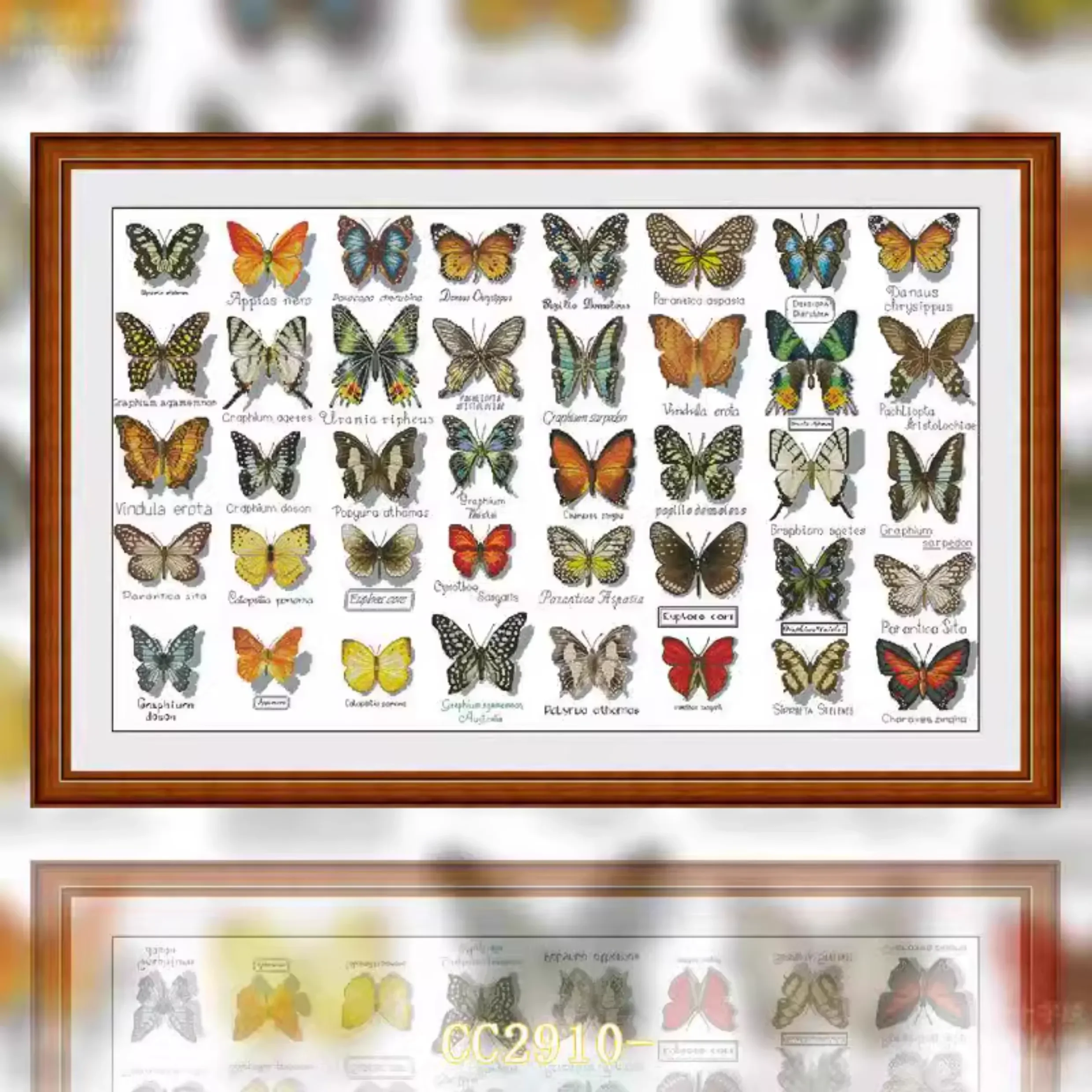 【CC2910- Butterfly specimen】 Stamped Cross Stitch Embroidery Kit 14CT 16CT, Needlework Supplies, Preprinted Fabric