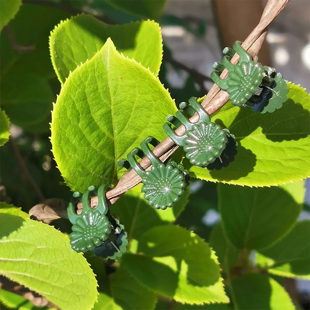 AB66-30 Pcs Plant Support Rod Support Rod With 30 Pcs Plant Clips Garden Floral Flower Support Single Stem Support Stake