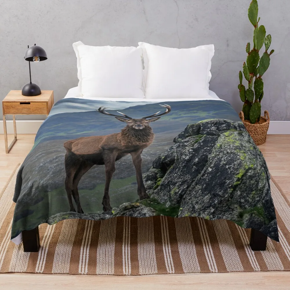 Monarch of the Glen Throw Blanket Hairys Stuffeds Single Blankets