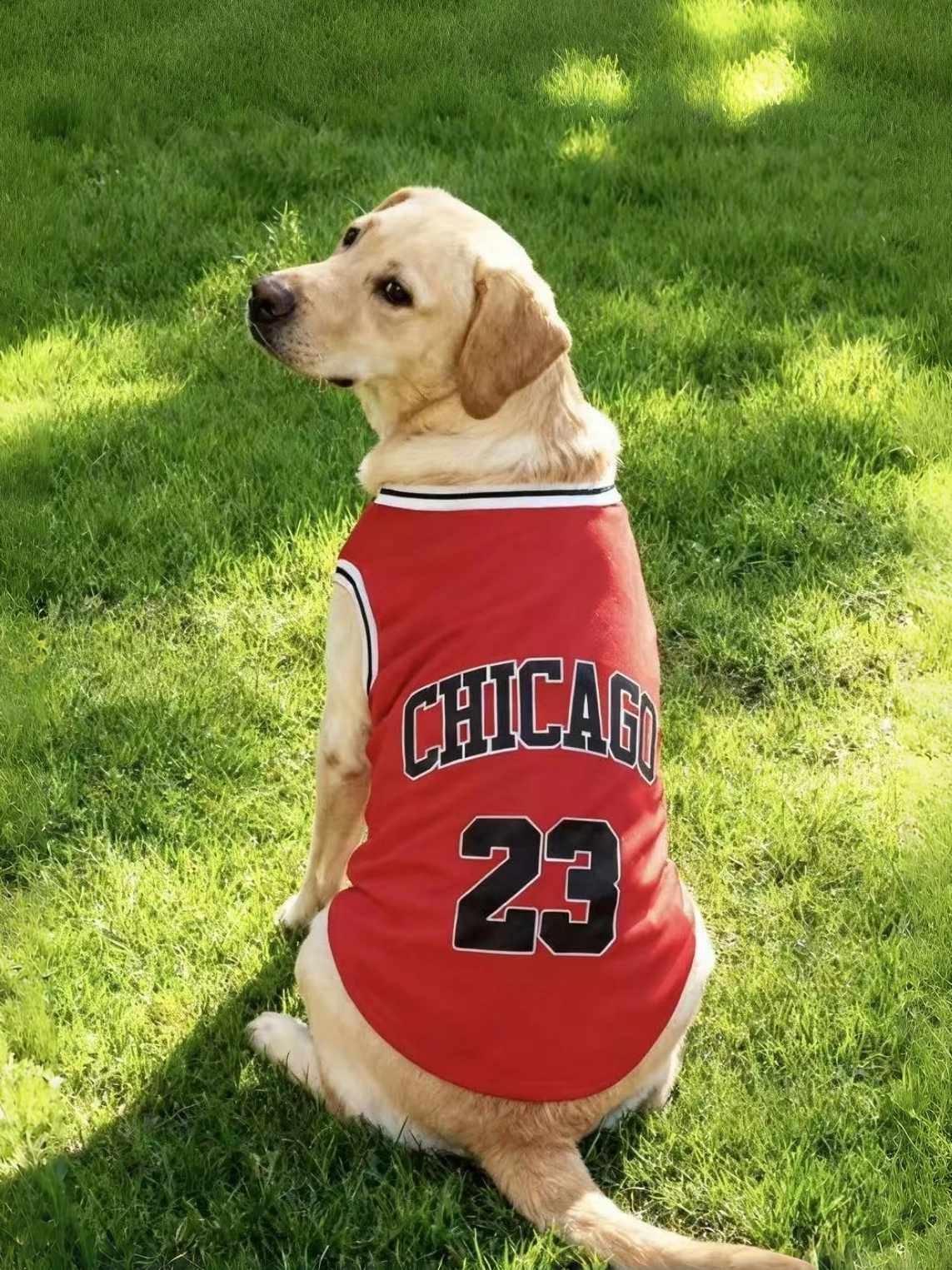 Sommerliches, leichtes, atmungsaktives Hundesport-Tanktop, Stil 23, für mittelgroße und große Rassen, Dobermann, Golden Retriever, Deutscher Schäferhund – Detail 8