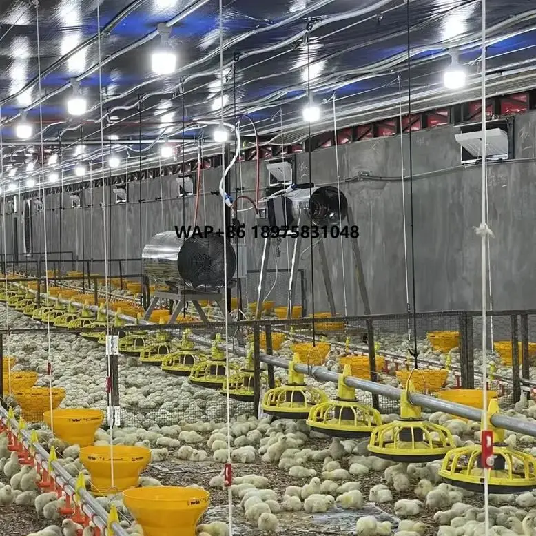 New Broiler Breeder Raising Growing Equipment System Plant Line Layer Floor Farming Poultry Chicken House MRS-4.5(1802)