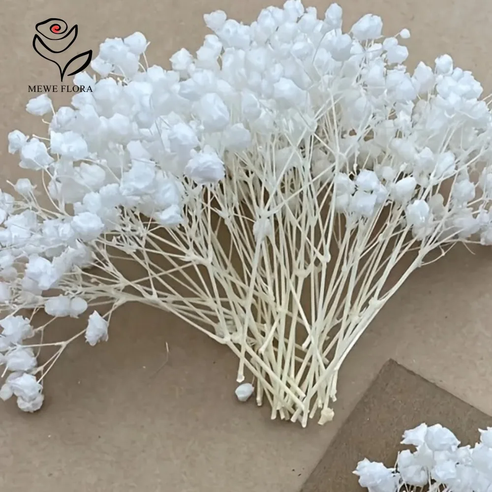 Thumbnail 2 - #16 Latest Dried Flowers Offers