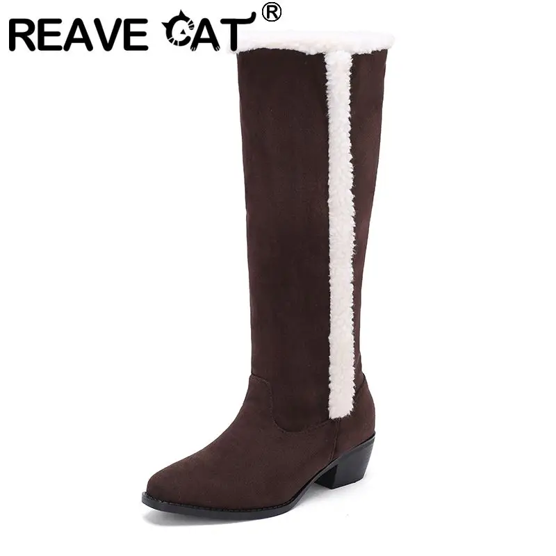 

REAVE CAT Female Mujer Knee High Boots Round Toe 6cm Thick Heel Platform Slip On Belt Buckles Vintage Daily Bota Oversize 40 41