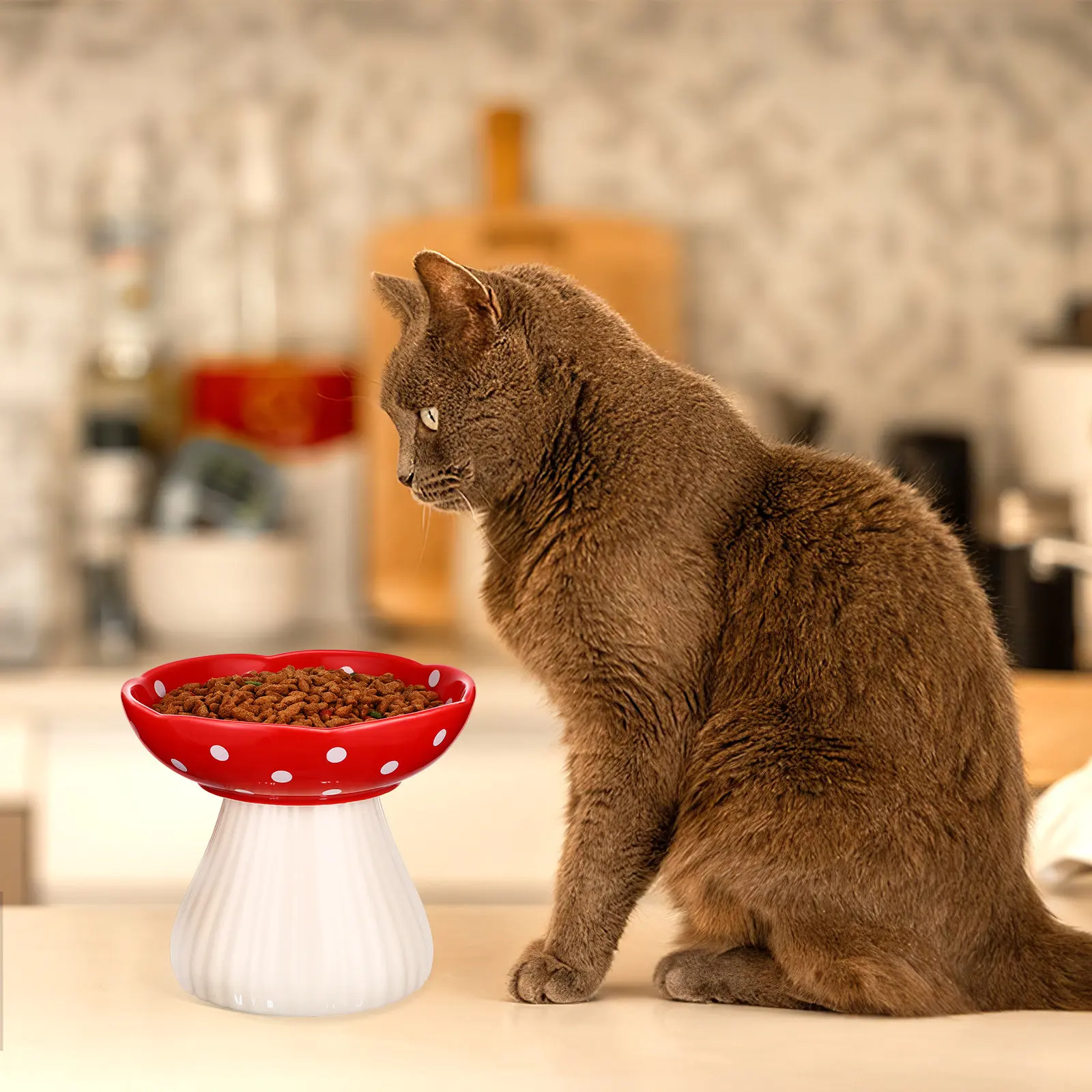 

Ceramic Bowl Elevated Raised Feeding Bowl for Cats Wide Shallow Stable Non Spill Pet Food Holder